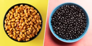 Black Beans vs Pinto Beans at Chipotle: Full Nutrition Comparison